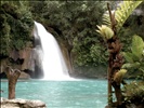 Kawasan Falls, Cebu